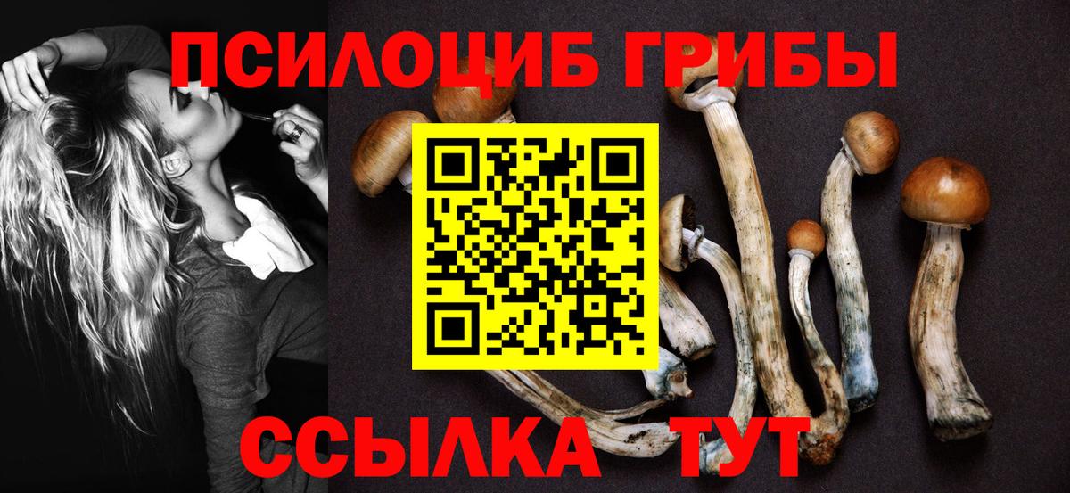 Псилоцибиновые грибы ЛСД Феодосия