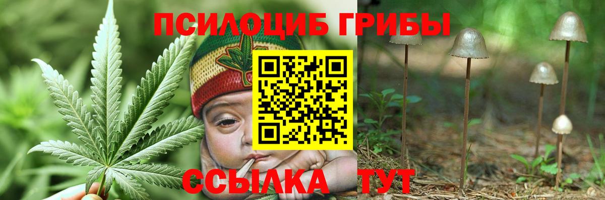 Феодосия  Псилоцибиновые грибы GOLDEN TEACHER  Вход с VPN 
