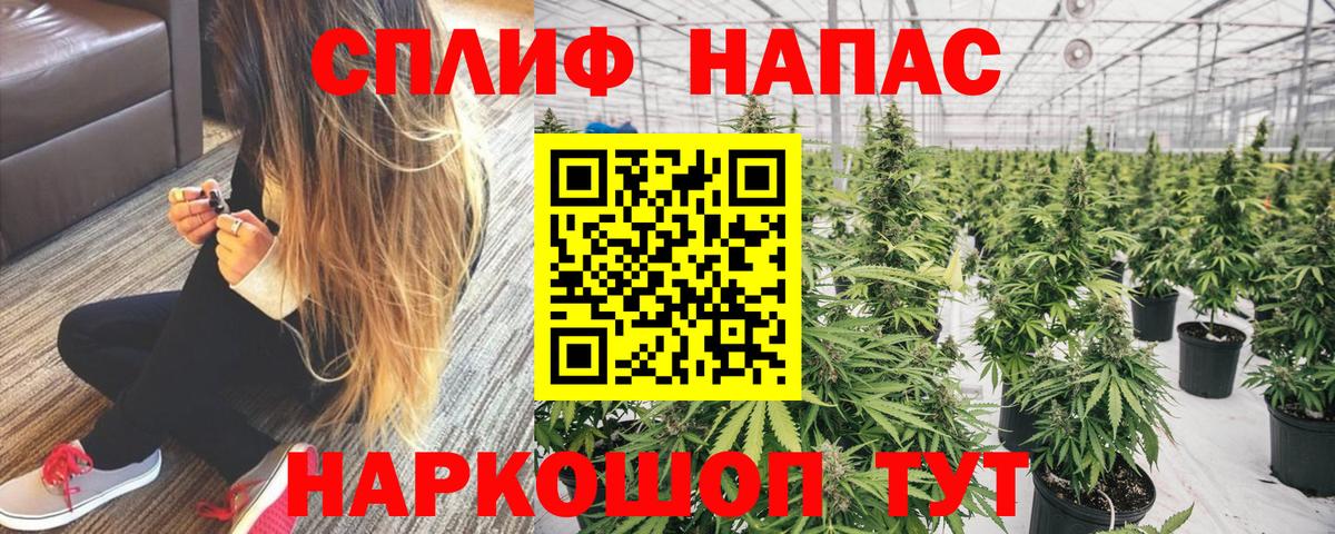 Бошки Шишки планчик  МАРИХУАНА план  Феодосия  Вход с VPN  Канабис Bruce Banner 